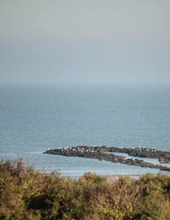 De zee bij Knokke