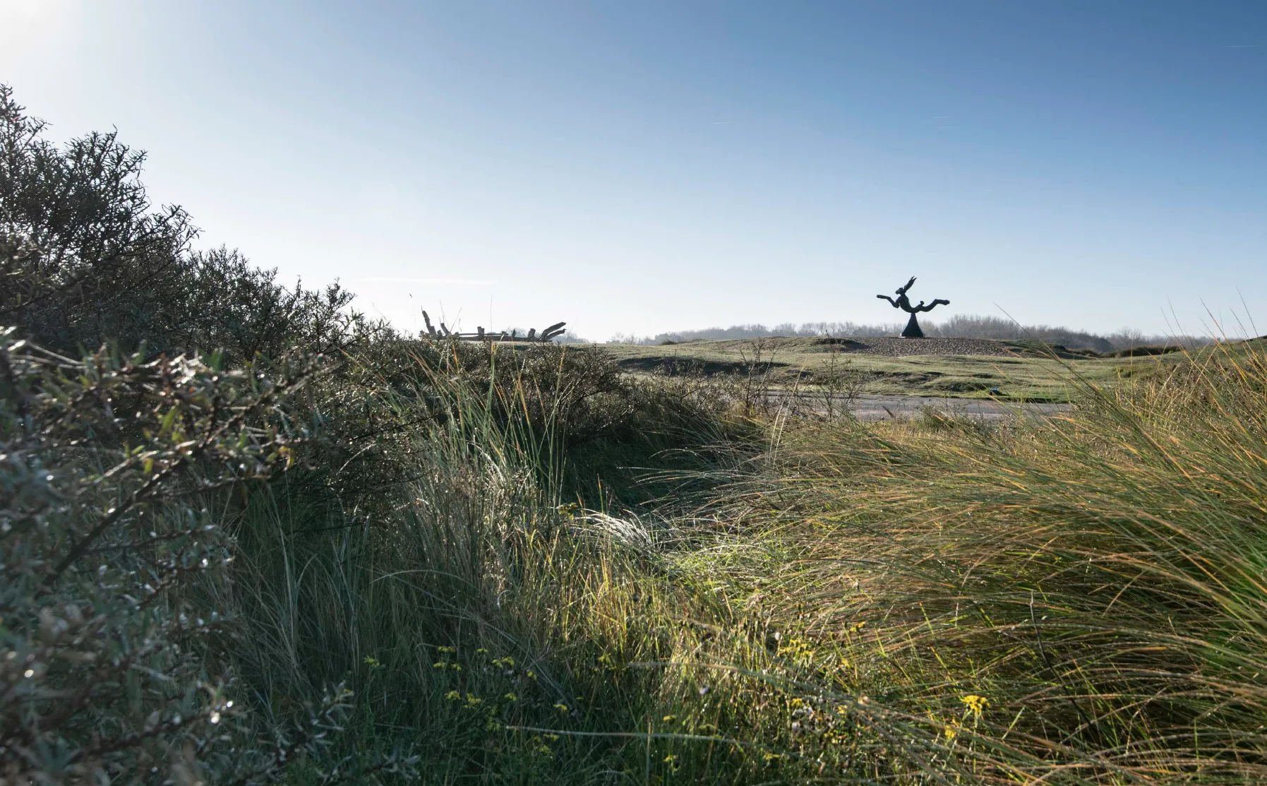 De duinen van Het Zwin